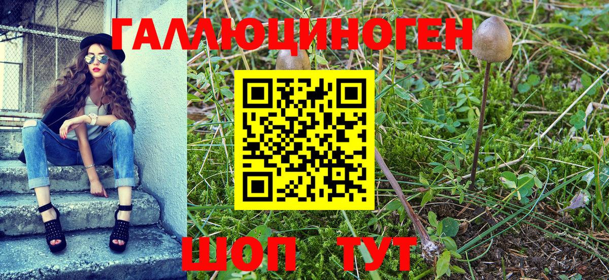 Псилоцибиновые грибы мухоморы  Вход с VPN  Зерноград  Псилоцибиновые грибы мухоморы 